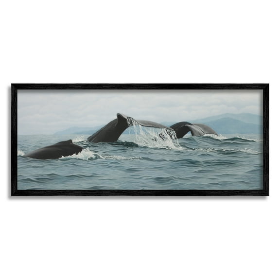 Stupell Industries Whale Tales Ocean Splash Animals & Insects Photography Black Framed Art Print Wall Art, 24 x 10