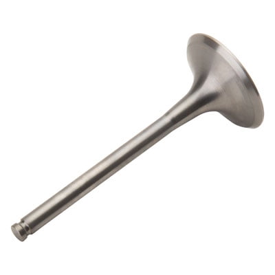 Pro X 28.4419-1 Titanium Exhaust Valve