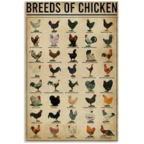 Breeds of Chickens Poster Vintage Metal Tin Signs Coffee Shop Rooster Iron Painting Retro Novelty Funny Bar Pub Restaurant Kitchen Farm Chicken Coop Tin Signs Wall Art Home Decor 8x12 Inch