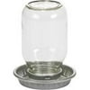LITTLE GIANT MASON JAR BABY CHICK WATERER CLEAR 1 QUART