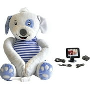 Video Surveillance System