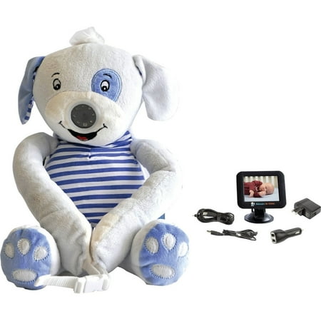 Video Surveillance System