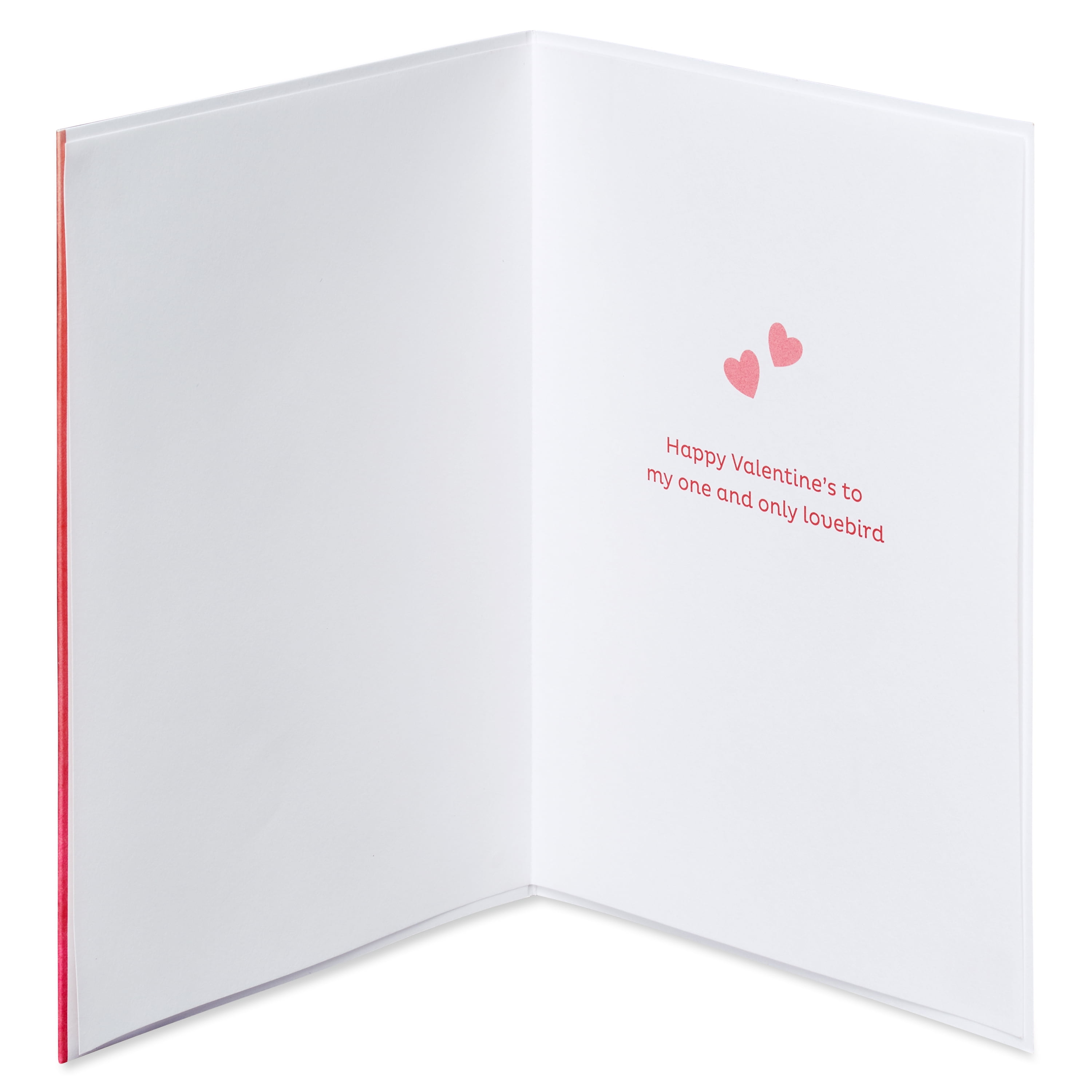 American Greetings Valentine's Day Card for Husband (Parakeet Couple)