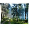 thumbnail image 1 of Tapiz de bosque, decoración del hogar, tapiz de paisaje, tapiz de decoración para sala de estar y dormitorio, tapiz mágico, cortina de 100*150CM, 1 of 5
