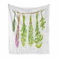 thumbnail image 1 of Herb Soft Flannel Fleece Throw Blanket, Watercolor Hanged Beneficial Plants to Dry, Cozy Plush for Indoor and Outdoor Use, 50" x 70", White Lime Green Lilac, by Ambesonne, 1 of 5