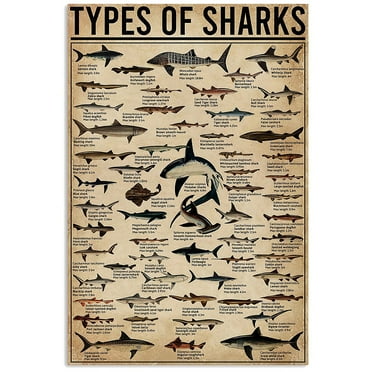 Types Of Shark Animal Vertical Poster, Shark Lover Gift, Ocean Poster, Animal Poster, Home Decor Painting Art, Dining Room Wall Decor Ideas, Art Deco Frameless 12x16inch
