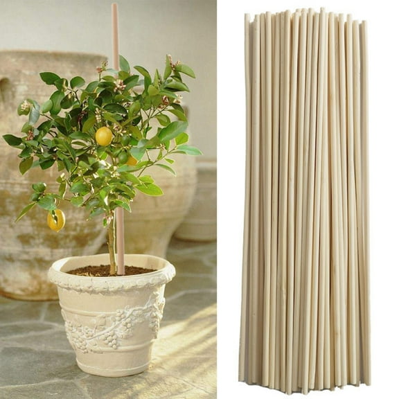 Visland 50PCS Wooden Plant Sticks Bamboo Canes for Garden Plants Flower Support Cane