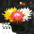 thumbnail image 1 of Feltree Solar Powered LED Chrysanthemum Garden Lights for Outdoor Decoration with Auto On/Off and IP65 Waterproof Easy Installation, 1 of 7