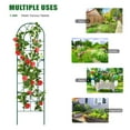 thumbnail image 2 of NAIZEA 4 Pack Garden Trellis, 60" x 16" Iron Wire Plant Support for Vegetables, Flowers, Vines, Roses, Cucumbers, 2 of 10