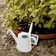 thumbnail image 1 of IFANLANDOR 2Ud Regadera De Hierro Galvanizado Para Jardín Con Asa Ergonómica Color Surtido, 1 of 8