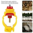 thumbnail image 4 of Pinza para comedero de pollo ANGGREK 20 unidades ABS desmontable tetina de bola de Acero inoxidable, 4 of 8