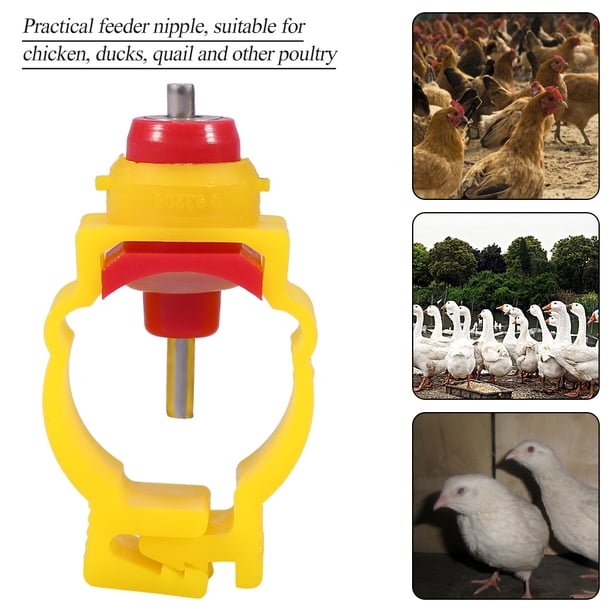 Alicate alimentador de pollo 20 unids/pack Duck Ball Nipple Dispensador automático de agua de aves de corral para pollo patos codornices ANGGREK Otros