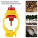 thumbnail image 1 of Alicate alimentador de pollo 20 unids/pack Duck Ball Nipple Dispensador automático de agua de aves de corral para pollo patos codornices ANGGREK Otros, 1 of 8