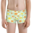 thumbnail image 5 of Yiaed Tree Palms Lemon Print Boys' Boxer Briefs Cotton Casual Stretch Comfort Boys Boxers - Kids Boxer Briefs Underwear for Boys (6-18)-Medium, 5 of 5
