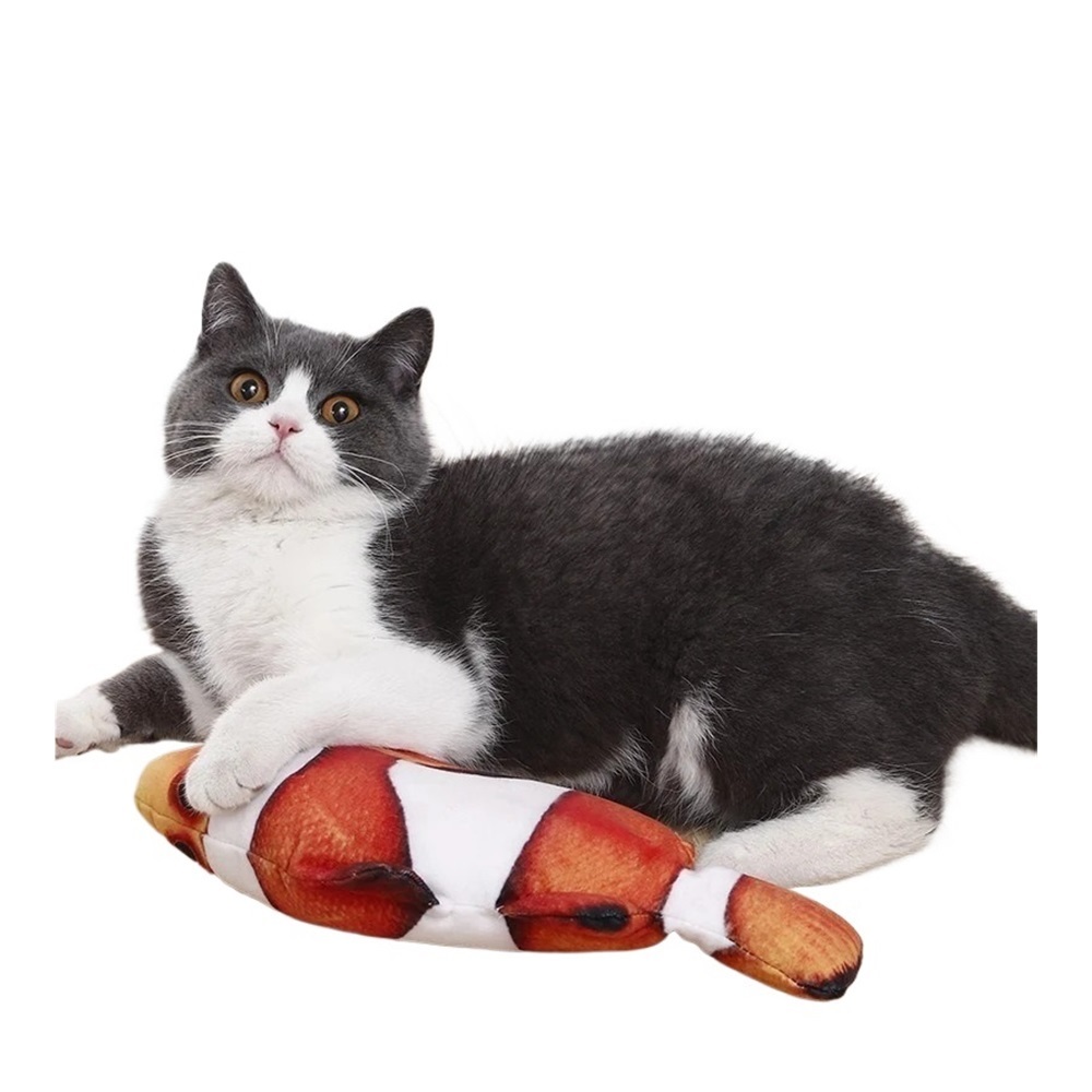 YJ 3PCS Electric Cat Toy Fish Pet Cat Toys Simulation Fish Swing Kitten Dance Fish Toy Funny Cats Chewing Playing Supplies USB Charging