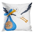 thumbnail image 1 of RYLABLUE Housse de Coussin avec Motif d'Oiseau Mouche et Bébé Vector Famille, 1 of 1