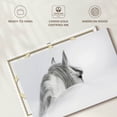 thumbnail image 6 of Elephant Stock Exquisite White Horse Wall Art - Horizontal Canvas Wall Art - Living Room Wall Decor - Photography Animal Canvas - Gray And Whitedecor By Photoinc Studio - 12" x 8", 6 of 8