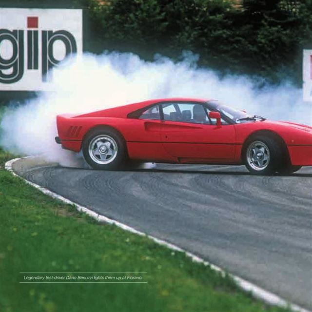 Ferrari 288 GTO: Lewandowski, Jürgen: 9783667125194: Amazon