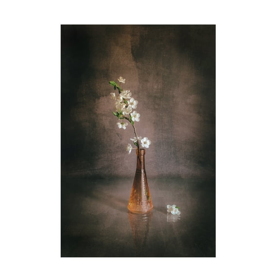 Canvas Wall Art - Cicek Kiral 'Spring Flowers' Wall Art for Living Room, Bedroom, or Office Décor by Trademark Fine Art - 12 x 19 Inches
