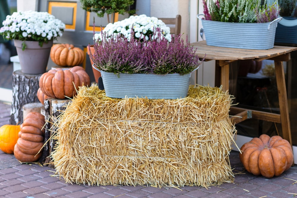 Pennington Straw Bale 7lb Mini 8"x10"x8"