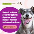 thumbnail image 2 of Dog Probiotic Pet Naturals Daily 120 ml CFUS 60 masticables, 2 of 6