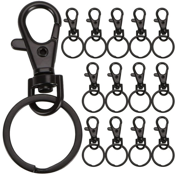 unbranded  15 Pcs Key Chains Rings Keychain Clips and Carabiner Lanyard Hook Black