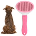 thumbnail image 1 of Greensen Short Hair Brush, Pet Brush, Comvenient For Cats Dogs, 1 of 8