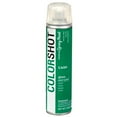 thumbnail image 3 of COLORSHOT Premium Multi-Surface Gloss Cash Spray Paint - 10 oz - Green, 3 of 10
