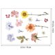 thumbnail image 2 of Pressed Flowers Stickers For Women And Girls In Assorted Color For Decorative Use On Travel And Photography 1 Sheet, 2 of 2