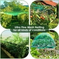 Bird Netting for Garden Protect Vegetable Plants and Fruit Trees