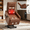 Brown, variant on BSHTI Power Lift Recliner Chair with Massage and Heat, Single Motor 155° Recline, USB Charging Port, Chenille, Easy Assembly, Light Gray