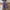 Z4-Purple, variant on Kids Pants Girls Size 7-8 Girls Cargo Pants High Waisted Drawstring Casual Jogger Pants Teen Children Streetwear Loose Parachute with Pockets Trousers Black,11-12 Years