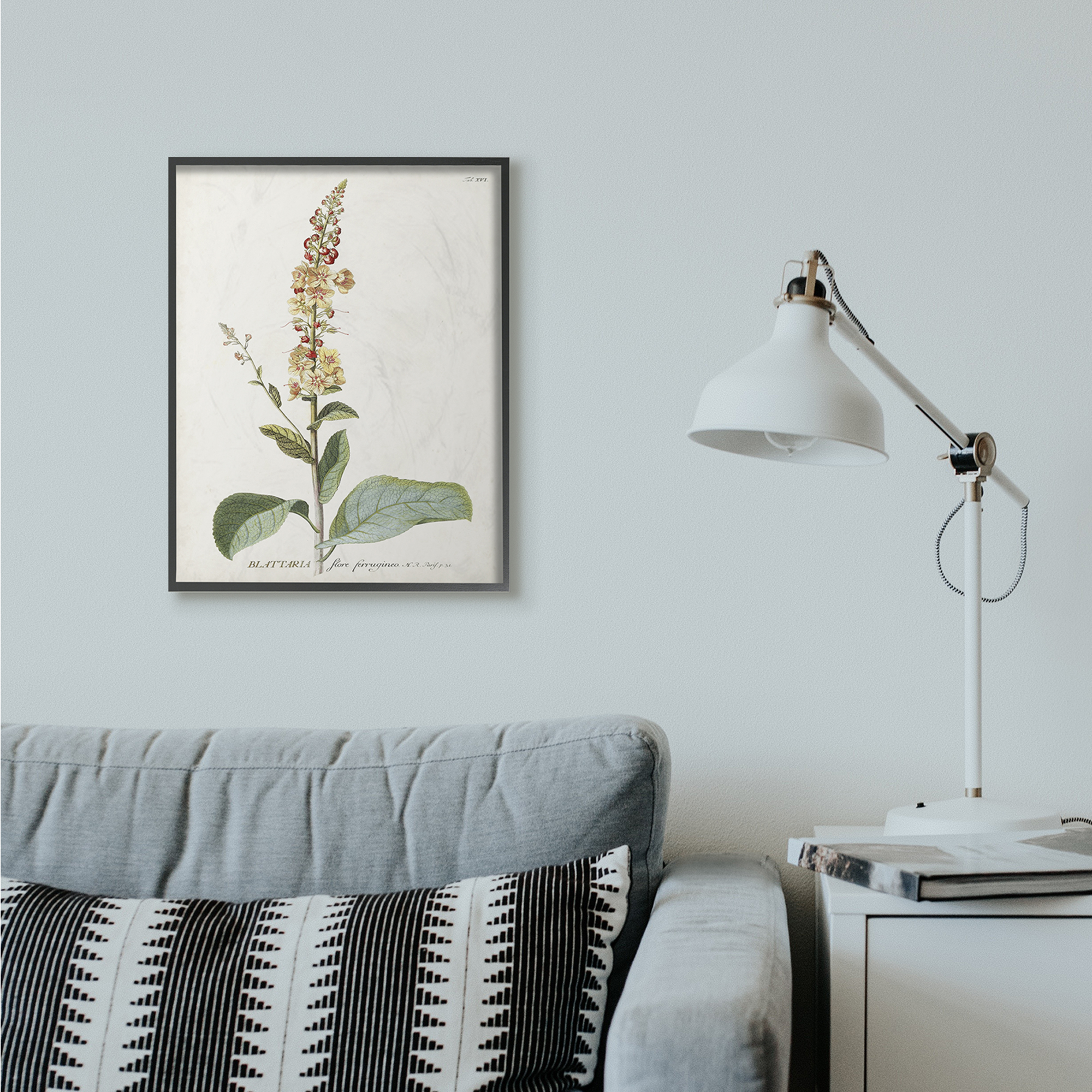 Stupell Industries Botanical Plant Illustration Flowers Vintage Design Framed Wall Art by Unknown