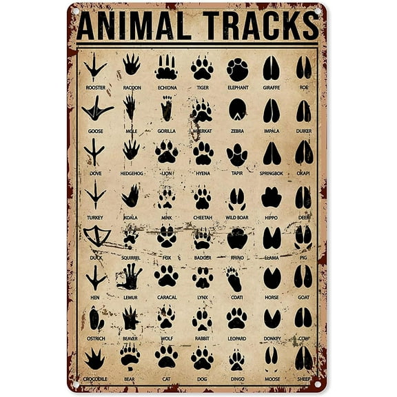 8 x 12 in Metal Tin Sign - Animal Tracks Metal Sign Vintage Farm Decor Hunter Knowledge Tin Poster Home Outdoor Club Plaque Wall Decoration 8x12 Inches