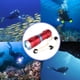 thumbnail image 5 of Soidarity Linterna de buceo Lámpara subacuática recargable a prueba de agua Lámpara de linterna para deportes al aire libre Camping Senderismo Estufas de camping anillo azul rojo Soidarity OD029552-02, 5 of 6