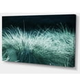 thumbnail image 2 of Wet Green Grass in Downpour - Oversized Landscape Canvas Art, 2 of 3