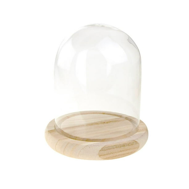 Clear Glass Dome Display with Wooden Base, 6Inch