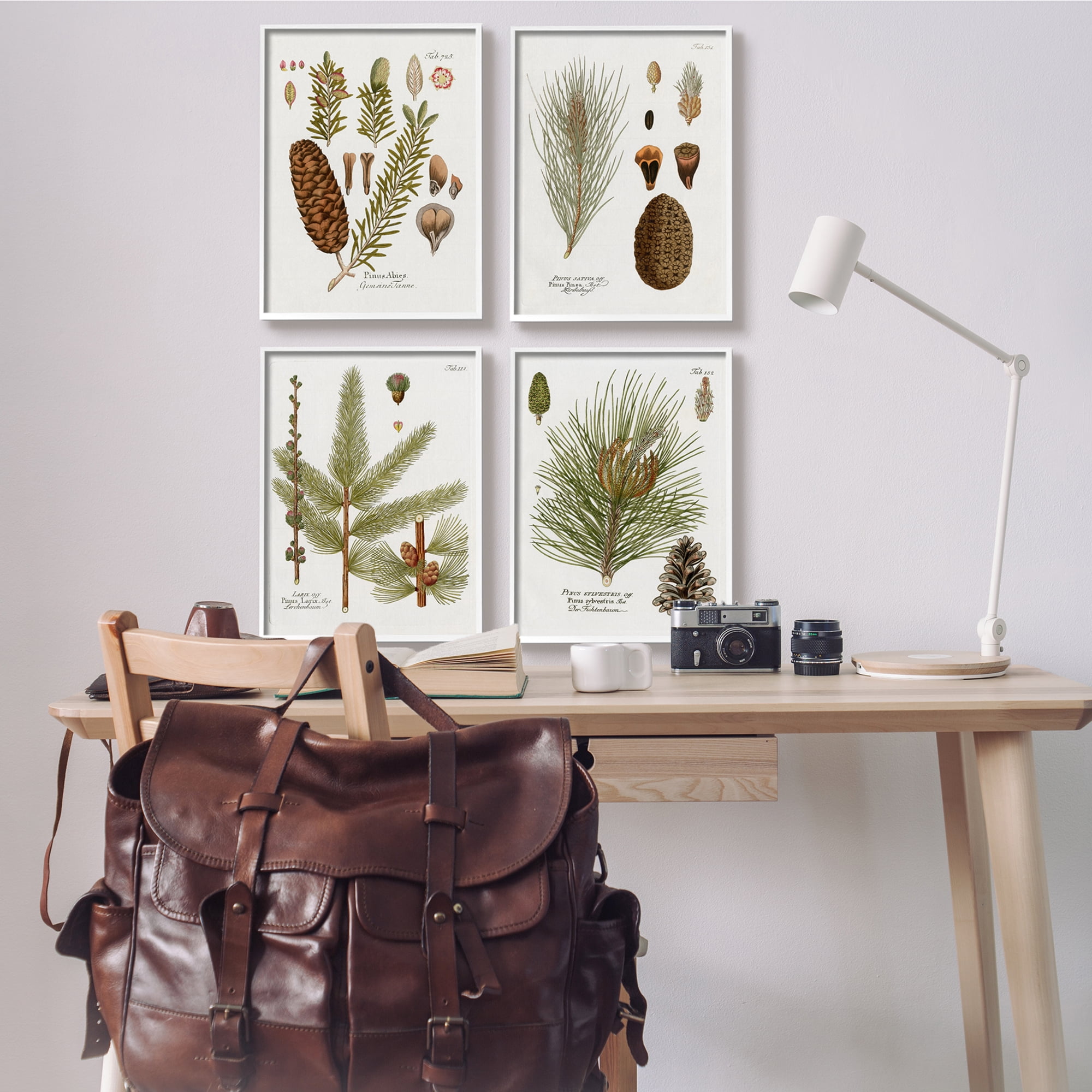 Stupell Industries Vintage Forest Pine Illustrated Study Green Brown Plants, 16 x 20, Design by Kelly Donovan