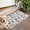 Schnauzer Dogs With, variant on Poodles Door Rugs,Washable Non Slip Door Mats Indoor,Decorative Door Mats,Entry Mat Indoor for Entrance,Bedroom,Kitchen,Bathroom,17"x30"