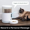 thumbnail image 6 of Geeni PetConnect Automatic Dog or Cat Pet Feeder, 4L, 6 of 8