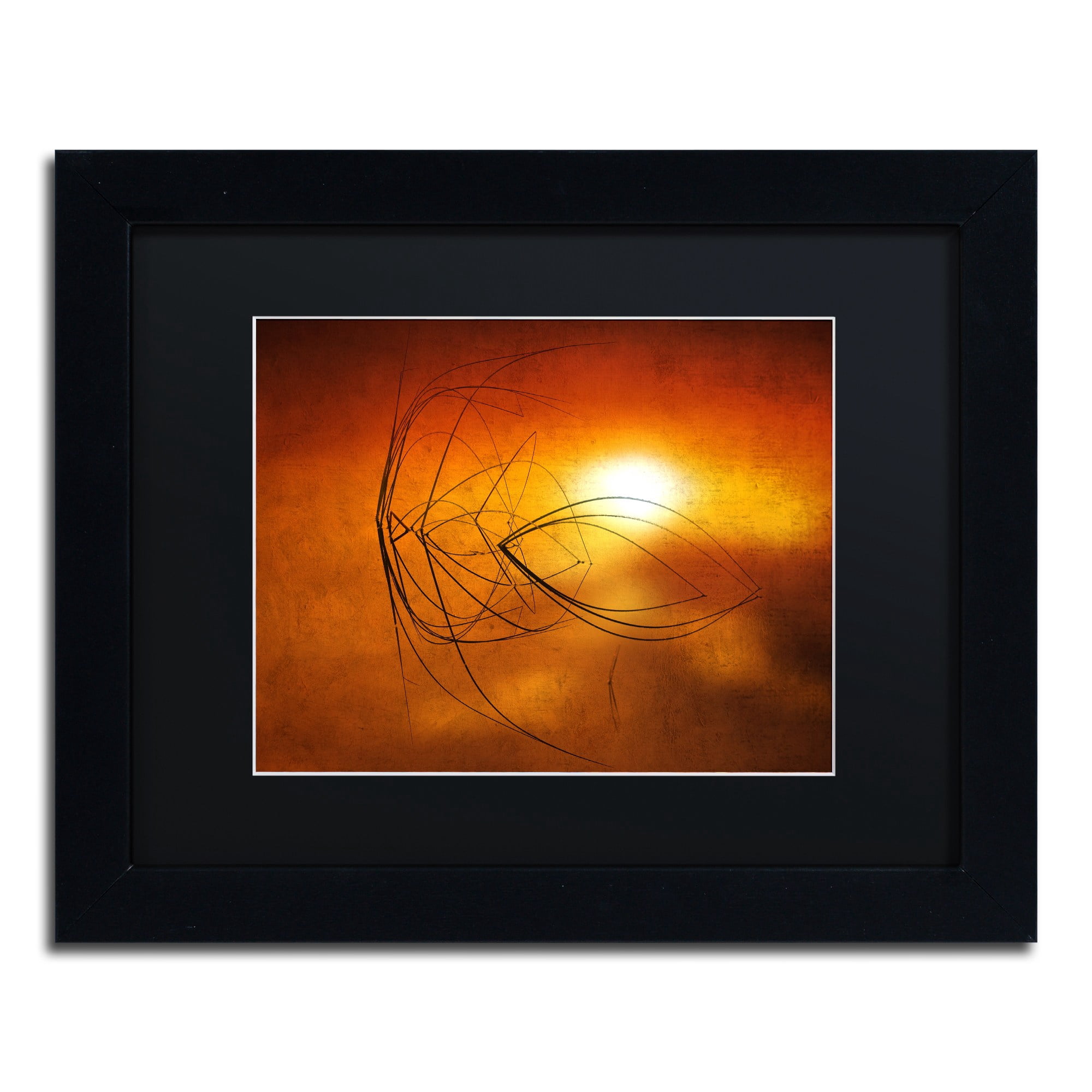 Trademark Fine Art "Touch of Last Light" Canvas Art by Philippe Sainte-Laudy Black Matte, Black Frame