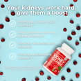 thumbnail image 3 of Health Plus Kidney Cleanse 60 Caps, 3 of 8