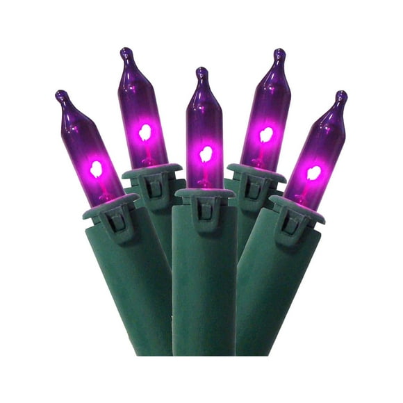 Northlight 100ct Mini String Lights Purple - 46' Green Wire