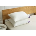 thumbnail image 5 of St. James Home 2 Pack Soft Knit SD Nano Pillow, Queen Size, 5 of 6