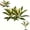 2pcs White +Greeen, variant on 2Pcs Large Artificial Boston Fern and Dragon's Blood Tree Plants,Realistic Fake Potted Plants,UV Resistant Faux Tropical Plant for Front Porch Garden Patio