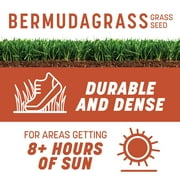 Pennington Bermudagrass Grass Seed, for Full Sun, 15 lb.