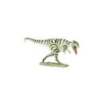thumbnail image 7 of Safari Ltd. Giganotosaurus Figurine - Detailed 14.5" Dinosaur Figure - Educational Toy for Boys, Girls, and Kids Ages 3+, 7 of 7