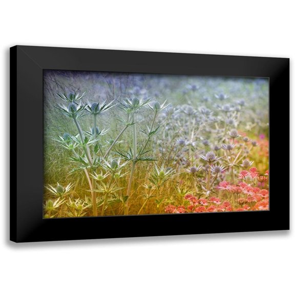 Moore, Steve 24x17 Black Modern Framed Museum Art Print Titled - Rainbow