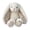 Long Ear Bunny, variant on Floral Bunny Stuffed Animal Cream French Style Blossom Romantic Rabbit Plush Toy Easter Stuffers Birthday Gifts Girlfriend Kids Party Favors Home Aesthetic Bedroom Decoration 8.7 Inch 9.5 oz