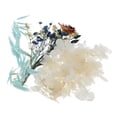 thumbnail image 4 of GUOOL Real Dried Pressed Flowers Natural Plants に適用 Scrapbooking, DIY Candle, D, 4 of 8